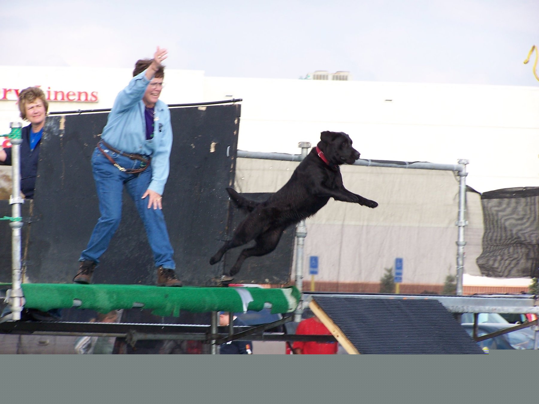 naughty jumping.jpg